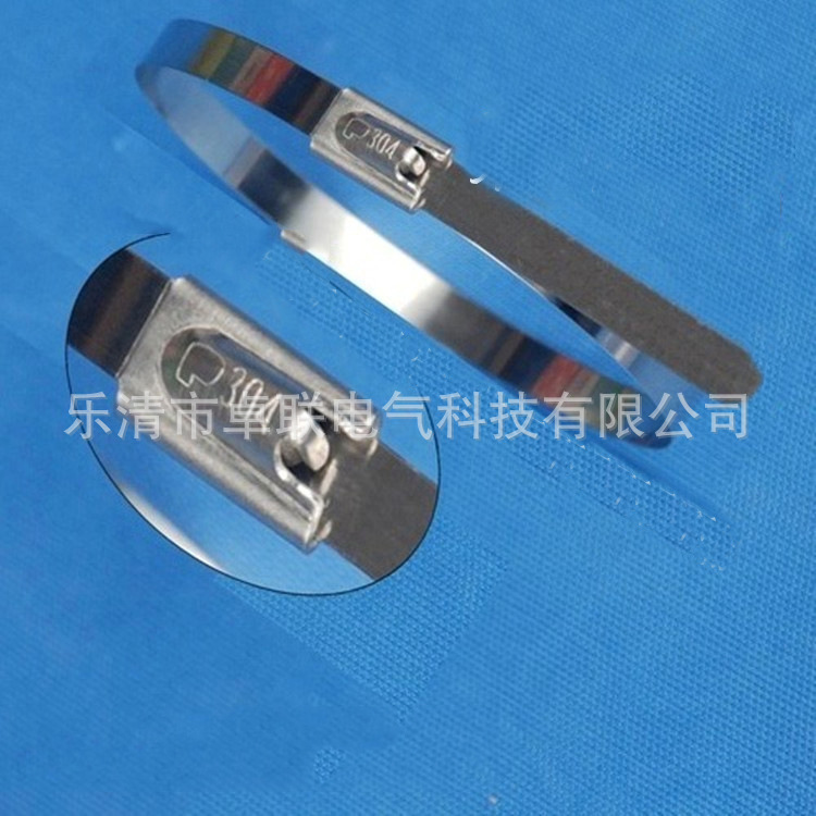 生产供应 不锈钢扎带 万能不锈钢扎带 自锁试不锈钢扎带