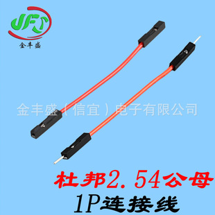 �S��ֱ�N�������l�Ű�1P��ĸ���Ӿ��B�Ӿ������� ĸ��ĸ���Ӿ���