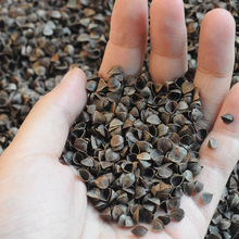 �w�����w��Ƥɢ�b5����о�����o�i׵����ȫ�w�����^���]һ�����l