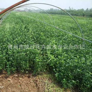 �������ݹ�ľ���~�S����繩���o�»��ؾG���r���S���