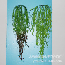 ����ֲ�����ڒ촹�촹��ֲ���ٗl ���l����ֲ���c�b����