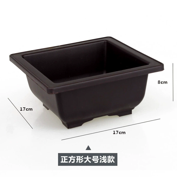 Imitation purple clay square shallow style large