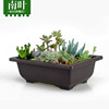 Purple sand PP Plastic Flower Pot imitated purple sand, polysmal pot tray, another polymerine square long square