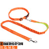 Amazon pet supplies spot wholesale explosion -proof pine tight nylon pet run traction rope walking dog traction