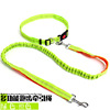 Amazon pet supplies spot wholesale explosion -proof pine tight nylon pet run traction rope walking dog traction