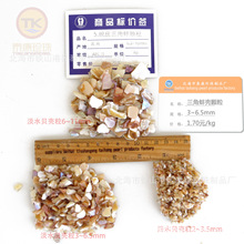 �C�ϱ���ؐ���w������ ؐ����Ƭ ���~�� ��ƺ�o�� 3~10cm