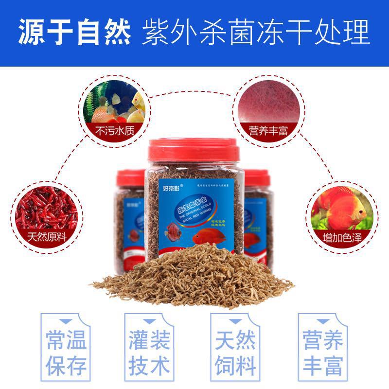 Good Jingcai/dry red worm/worm dried red insect/small tropical fish…