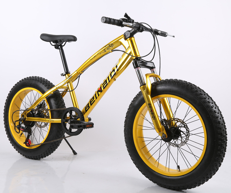 Bicicleta de Nieve con Llantas Gruesas de 20 Pulgadas, Bicicleta de Montaña Todoterreno con Frenos de Disco de Velocidad Variable, Lista para Exportar a Europa y América, Transfronteriza