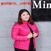 胖MM加肥加大码200斤特大码立领轻薄羽绒服女短款超轻便超薄