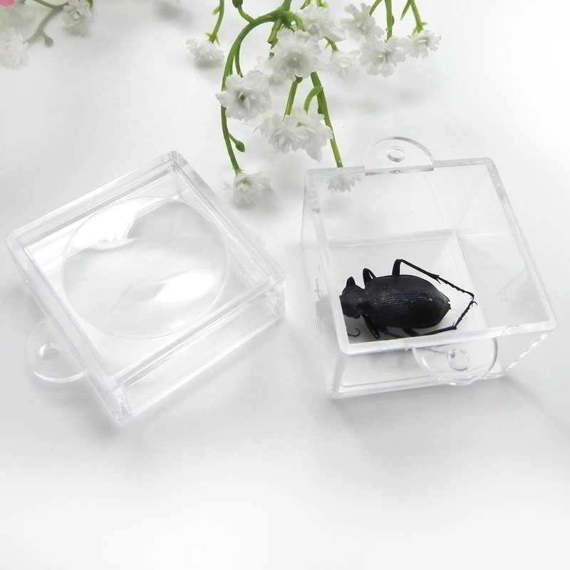Производители поставляют квадратные насекомые, биологические наблюдательные коробки, детские игрушки, развивающие мозг, увеличительное стекло