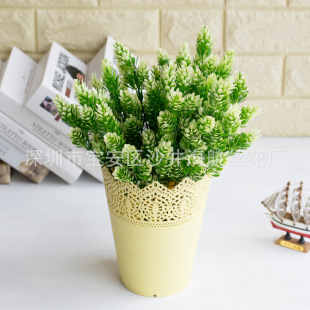 ����ֲ��G�~�ٻ� ����ˮ��5���ɰ��~��Gֲ���쾰�b����Բ廨