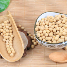 温达香有机黄豆325g 东北有机黄豆批发厂家直供 东北黄豆大豆米砖