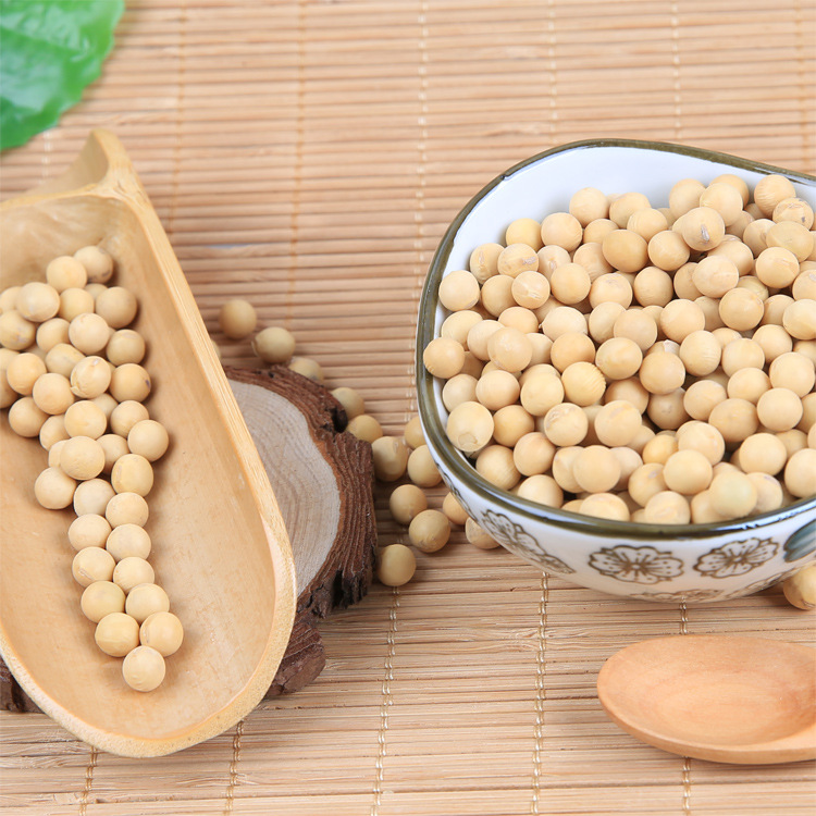 温达香有机黄豆325g 东北有机黄豆批发厂家直供 东北黄豆大豆米砖