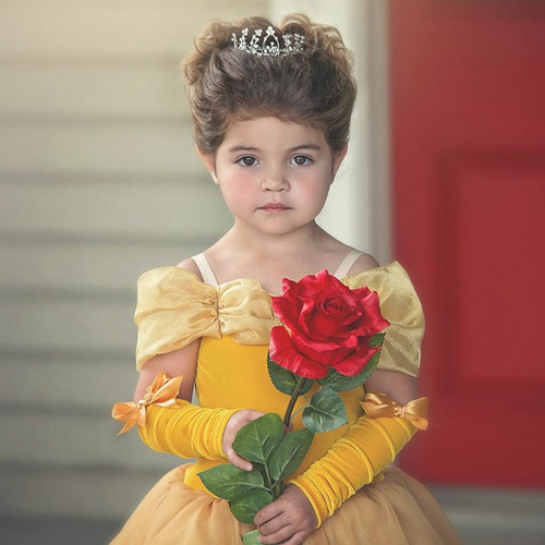 Baby Princess Ins Autumn Winter Children's Dress Lady and the Beast Medium Size Girls' Formal Dress Sweet and Lovely