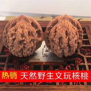 �S�ҹ������������ȻҰ�����ұP�澚�ּy·����������