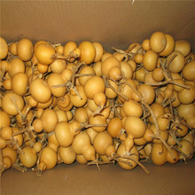 �L�����lС���J ����������J ������J ���|��Ȼ С���J