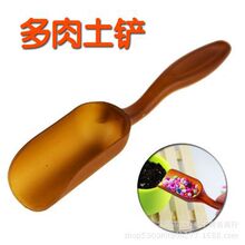 多肉造景土铲茶艺茶勺苔藓微景观摆件桶铲小铲子小型塑料土铲勺子