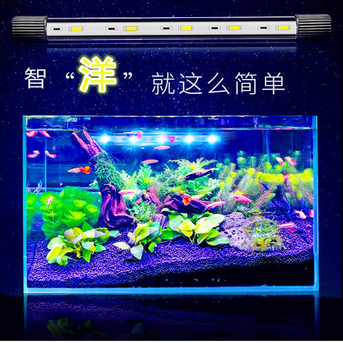 LED aquarium light, land and water dual-use, aquarium LED diving light, aquarium lighting canopy light