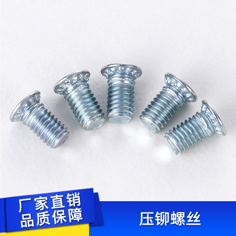 厂家直销 压铆螺丝 铁圆形螺丝FH 压板螺钉