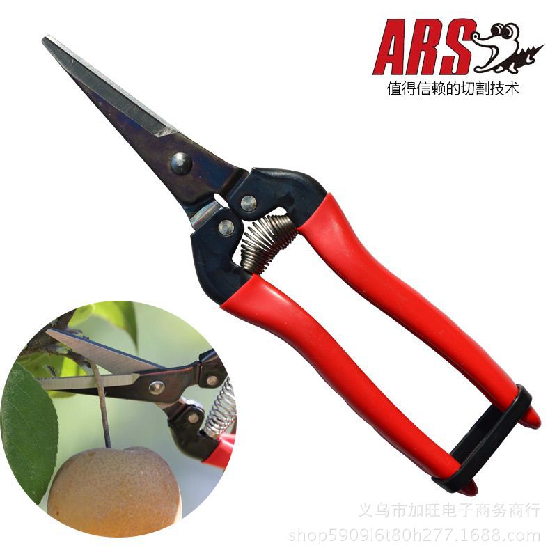 日本原装进口爱丽斯ARS 300L园林工具采果剪稀果剪刀长嘴摘果剪子