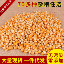 ���l���ͱ�������  ���׻�ԭ�����������α����������l20kg