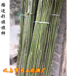 彩旗旗杆 运动会竹竿 国旗杆 2米 路边彩旗杆