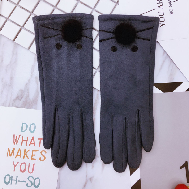 스웨이드 고양이 그레이