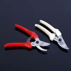 廠商源頭老夥計果枝剪130款白把園藝修枝剪園藝小手剪園林工具