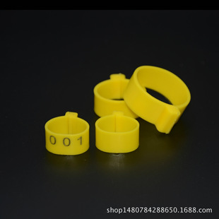 �S��ֱ�N�u�_�h �����u�_�h �u���h  ���_�h �Z�_�h�u���_�h