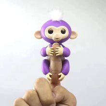 ָ����Ӿ�Ȧ ���Ӿ�Ȧ   ���ǫF��Ȧ �����C���˾�Ȧ ��߾�Ȧ