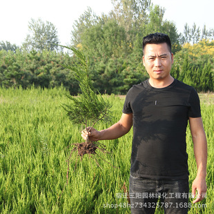 ���ػ������l���� �ڽ����ؕrС����  ������ �K�Ԯa���N