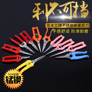 ��ľ�m��ϡ������ ���P���֦��ժ�����߹������Ѽ�@�ֹ���