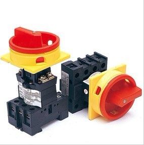 代理TAYEE天逸LW42B2-2825/L凸轮开关 船型开关 自锁、旋钮开关