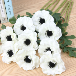 ���^ʯ��󺣿����滨�ٻ����컨���滨���l�S�����l�廨���