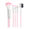 Fuchsia brush, black face blush for eyelashes, 5 pieces