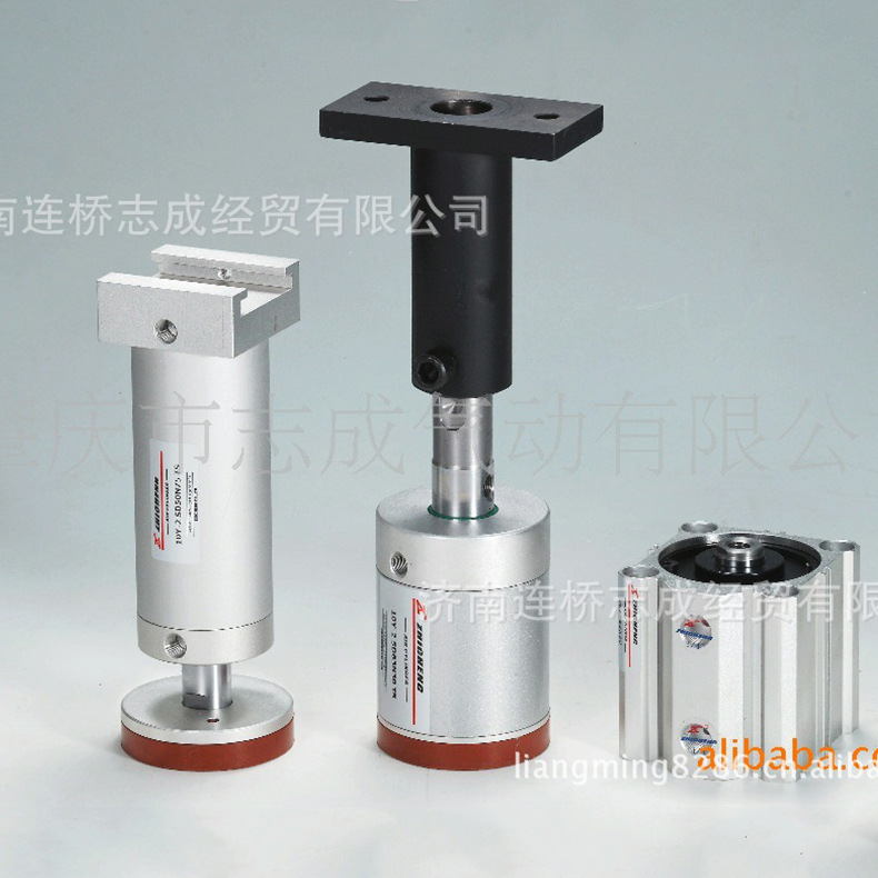 供应志成牌  迷你薄型旋转摆动气缸 高品质标准摆动气缸