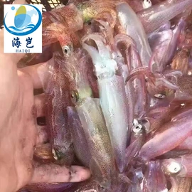 水产干货类;鱼类;虾类