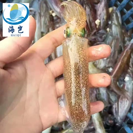 鱼类;水产干货类;虾类