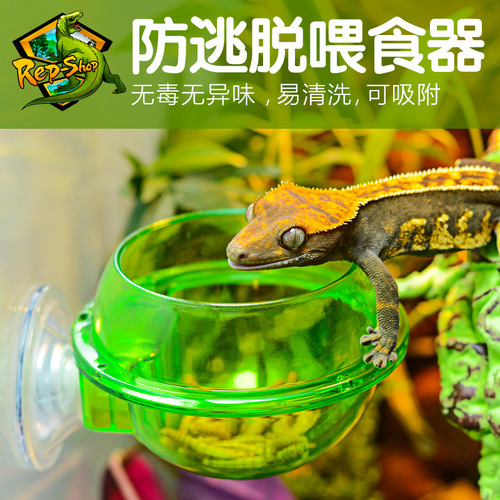 CM arboreal reptile live anti-escape suction cup feeder eyelash chameleon food bowl wall hanging double layer planet ABS