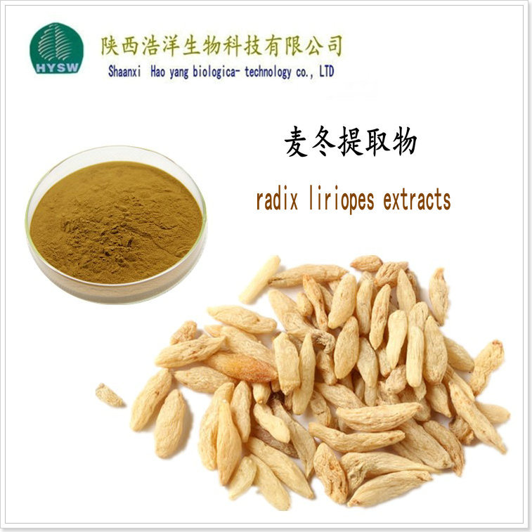 Ophiopogon japonicus 농축분말(다당류 30%)