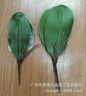 �����廨��ݷ��������~�m���~�ָ��~Ƭ �Ҿ��Ʒ�����m�~