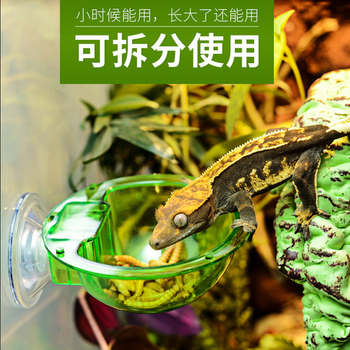 CM arboreal reptile live anti-escape suction cup feeder eyelash chameleon food bowl wall hanging double layer planet ABS