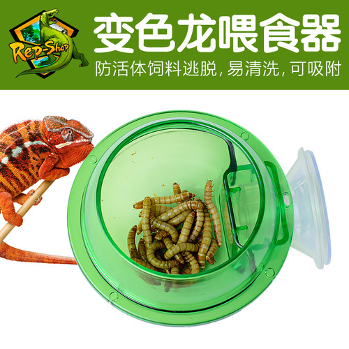 CM arboreal reptile live anti-escape suction cup feeder eyelash chameleon food bowl wall hanging double layer planet ABS