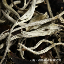批发 云南白茶 2025年明前月光白一芽二叶 景迈月光美人 散茶
