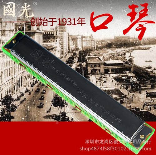Shanghai 24-hole harmonica Echo Accent C Tuning Beginner Folk Music Instrument Drop Ship