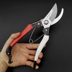 Small profits, garden tools, tree branch repair scissors, red and white rubber handle, red plum fruit branch scissors