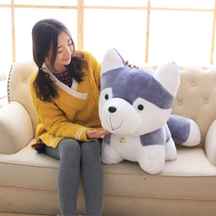 �Ȍ���Ʒ��K��ʿ��ë�q��߹����й�ʿ�湷������һ�����l