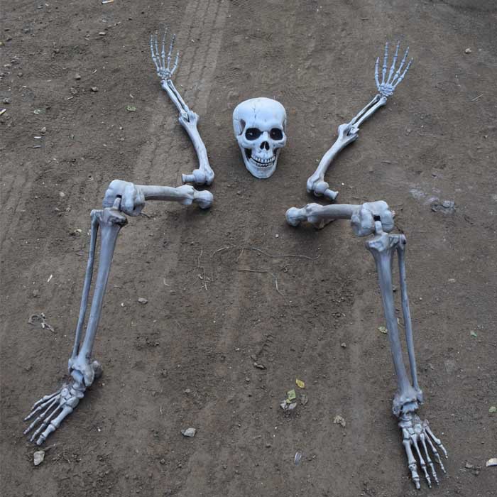 Halloween accesorios de la casa embrujada de escapar de la decoración de órganos adornos horrores cráneo esqueleto de miembros conjunto de cinco piezas