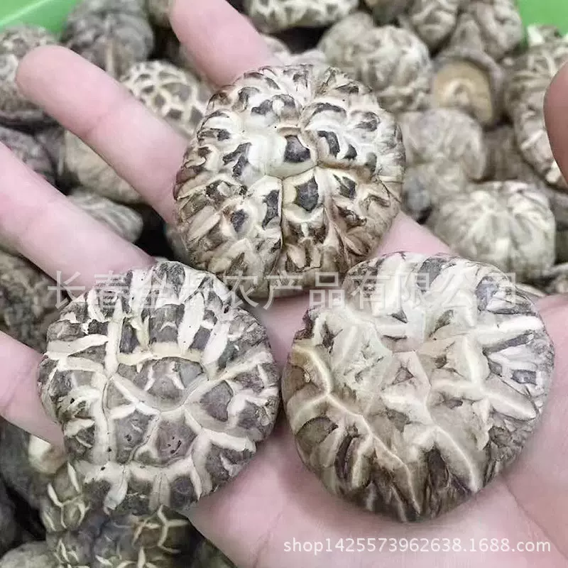 花菇干货 花菇干 干花菇 蘑菇 菌类