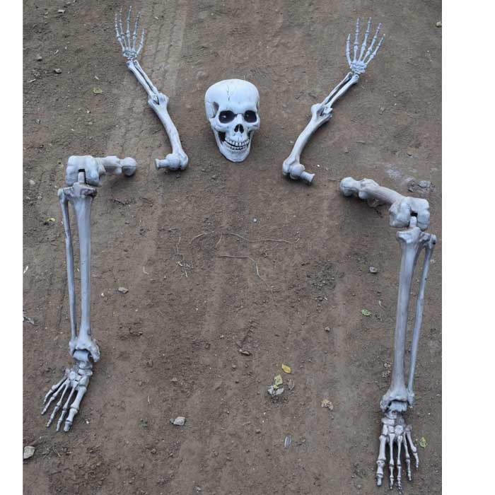 Halloween accesorios de la casa embrujada de escapar de la decoración de órganos adornos horrores cráneo esqueleto de miembros conjunto de cinco piezas